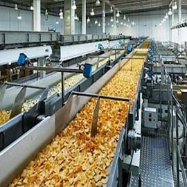 Food Processing Sector in India