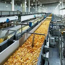 Food Processing Sector in India